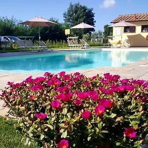 Punta Dei Lecci Riparbella
