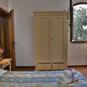 Paradiso Riparbella